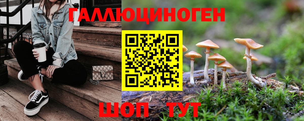 Галлюциногенные грибы Psilocybe Вышний Волочёк