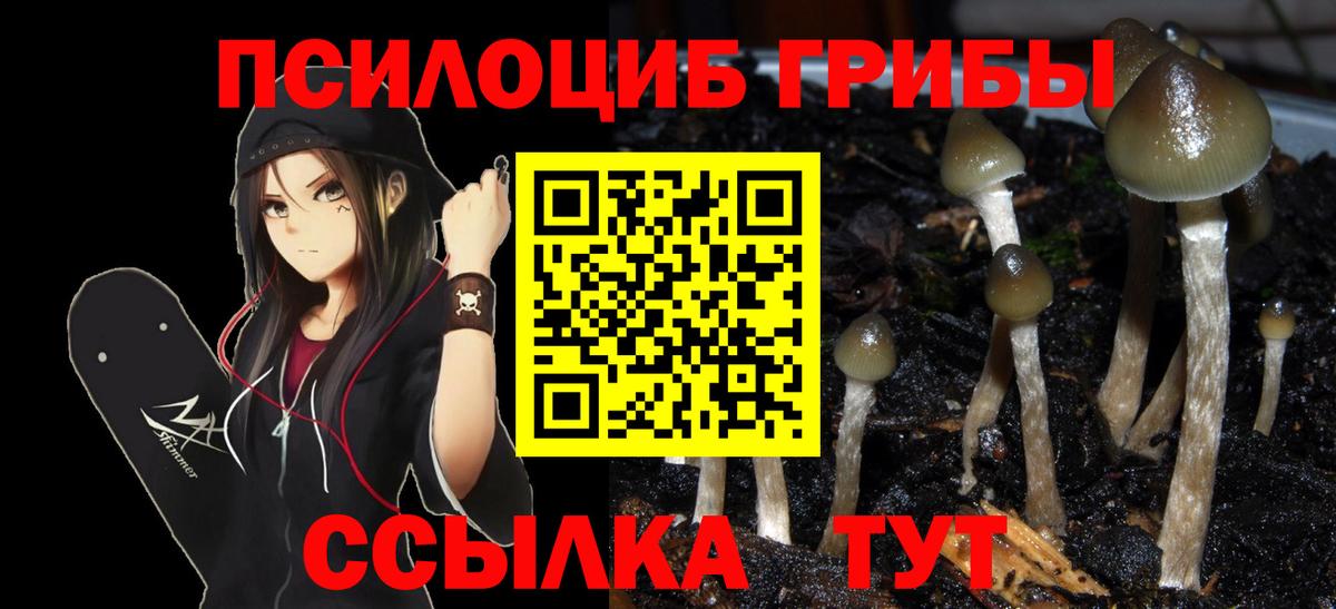 Галлюциногенные грибы ЛСД Вышний Волочёк