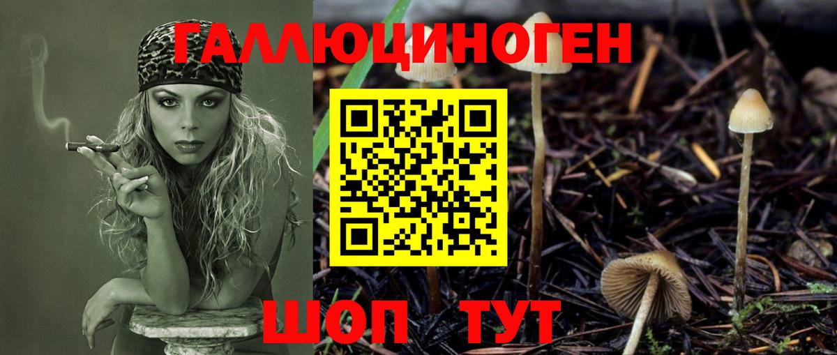 Вышний Волочёк  Галлюциногенные грибы Cubensis  Псилоцибиновые грибы Psilocybine cubensis  Вход с VPN 