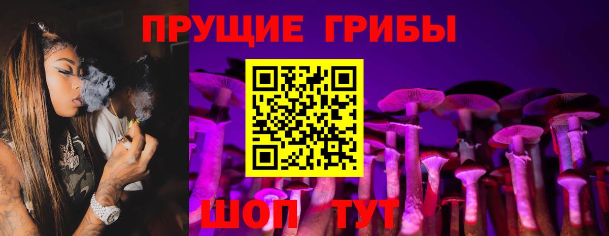 Галлюциногенные грибы Magic Shrooms  Вышний Волочёк  Галлюциногенные грибы MAGIC MUSHROOMS 